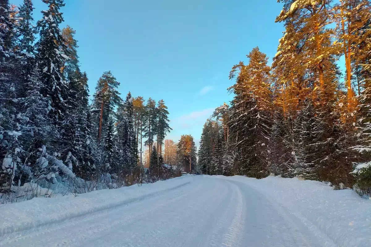 Экологичность